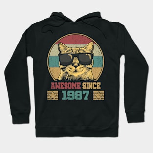 Awesome Since 1987 37th Birthday Gift Cat Lover Hoodie